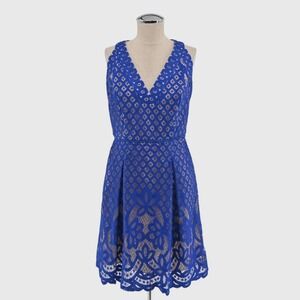 ADRIANNA PAPELL Blue Lace Dress Size 4 Floral Fit Flare Feminine Romantic Modern